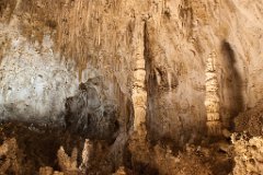 26_Carlsbad Caverns National Park_04